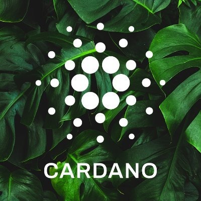 Logo Twitter Cardano